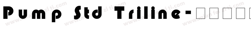 Pump Std Triline字体转换